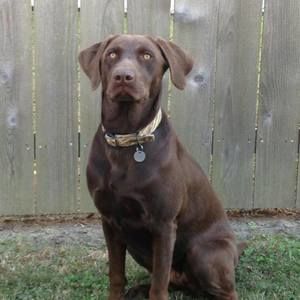 Meet your Posher, April